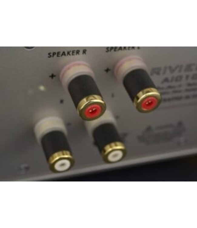 Riviera Audio Laboratories AIC-10 BAL - Hoofdtelefoonversterker