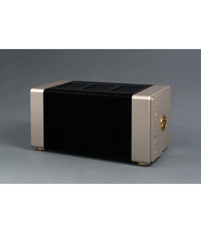 Riviera Audio Laboratories AFM-100 SE (Set van 2) - Mono Eindversterkers