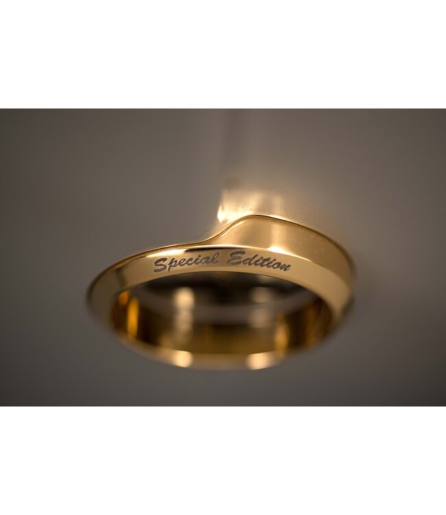 Riviera Audio Laboratories AFM-100 SE (Set van 2) - Mono Eindversterkers