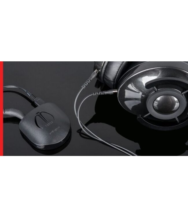 Audioquest Beetle - DAC met Bluetooth