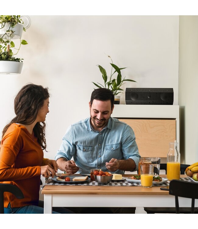 Lithe Audio 06800EU iO1 WIFI Speaker Zwart - On-wall Luidspreker