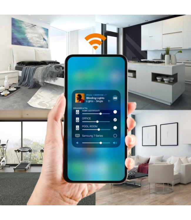 Lithe Audio 06600EU 6,5 inch (95mm) WiFi multi-room - Plafond Inbouw Luidspreker