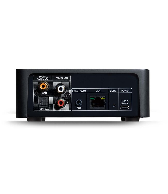 NAD CS1 - Streamer