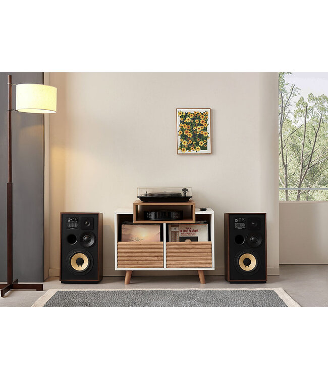 NorStone Oslo Vinyl 800 - Audio Meubel