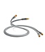 QED Performance Audio 40i - Analoge Interlink