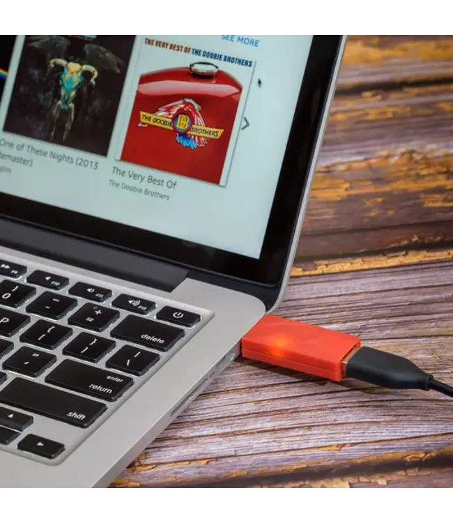 iFi Audio iFi Audio iDefender+