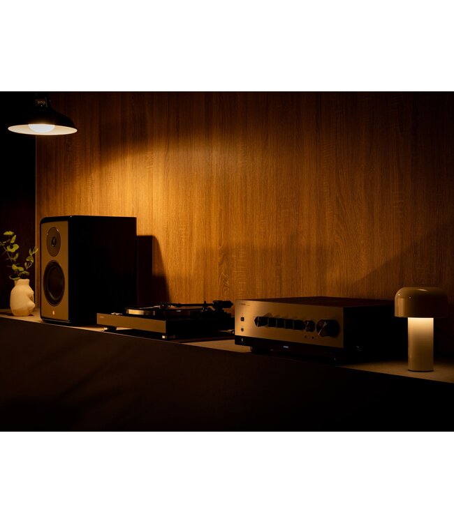 Yamaha TT-S303 - Platenspeler