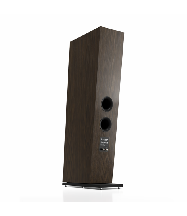 Pylon Audio Diamond 28 MKII (Set van 2) - Vloerstaande Luidsprekers