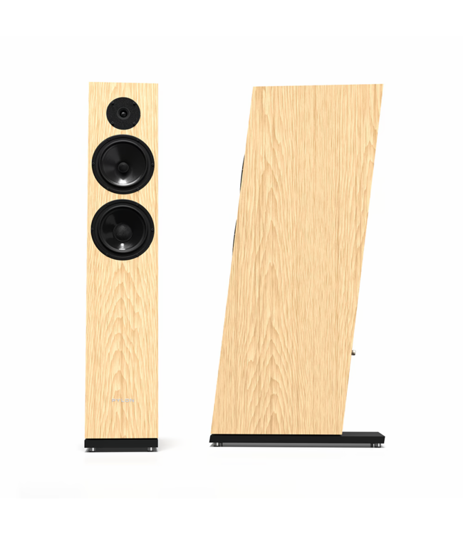 Pylon Audio Diamond 28 MKII (Set van 2) - Vloerstaande Luidsprekers