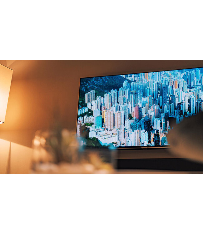 Future Automation FB49 - Vaste Muurbeugel 49-80 inch