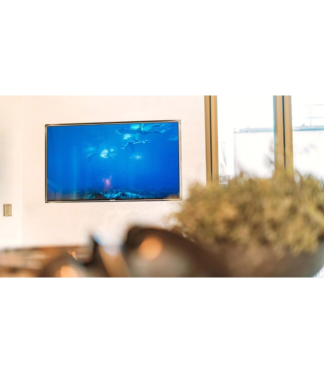 Future Automation FB49 - Vaste Muurbeugel 49-80 inch