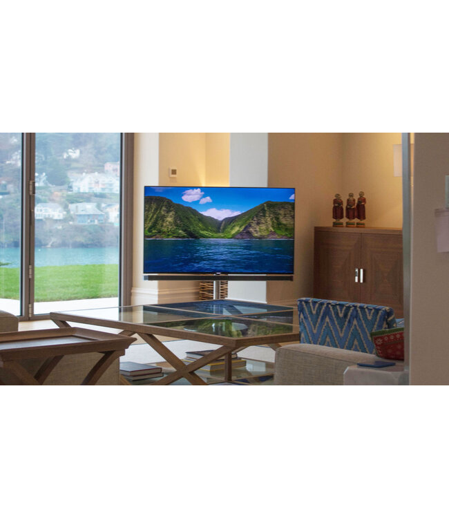 Future Automation FM - TV Vloerstandaard