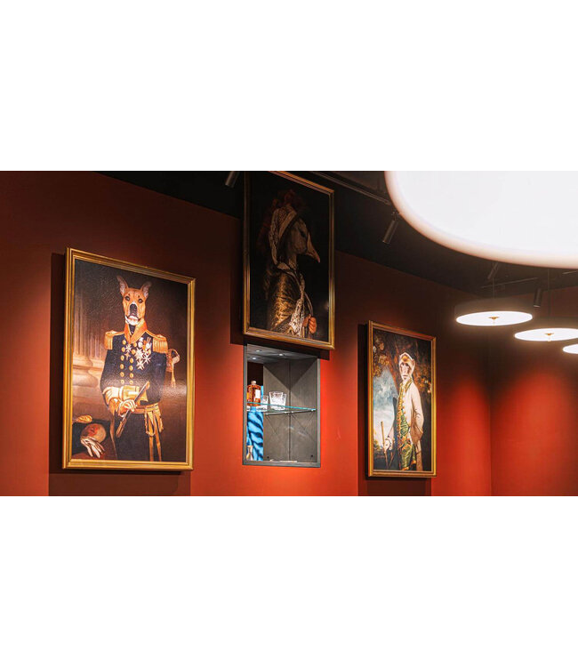 Future Automation PIC - Picture Lift Systeem 32-60 inch