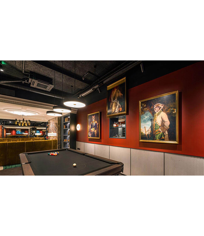 Future Automation PIC - Picture Lift Systeem 32-60 inch