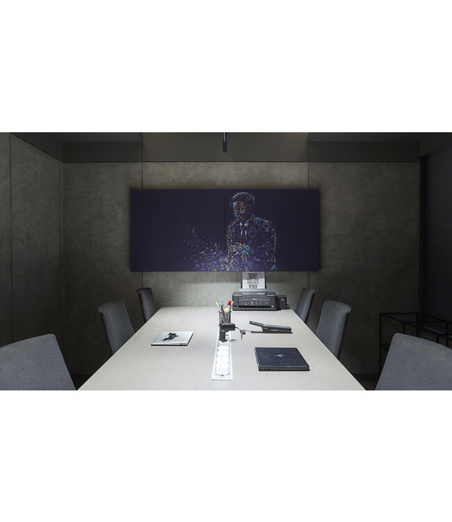 Future Automation PIC-SPLIT - Picture Lift Systeem 32-80 inch