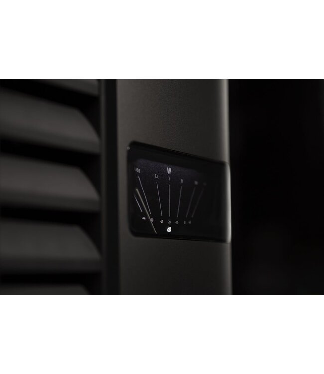 Classe Delta Mono - Eindversterker