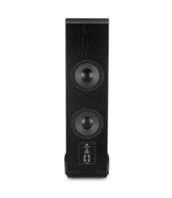 MoFi SourcePoint V10 (Set van 2) - Vloerstaande Luidsprekers