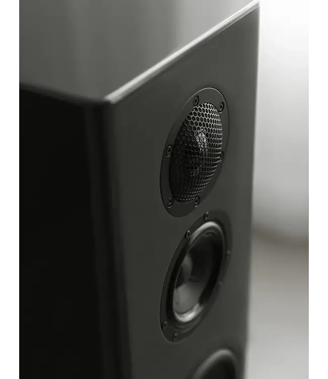 AUER Acoustics VERSURA V2 (Set van 2) - Vloerstaande Luidsprekers