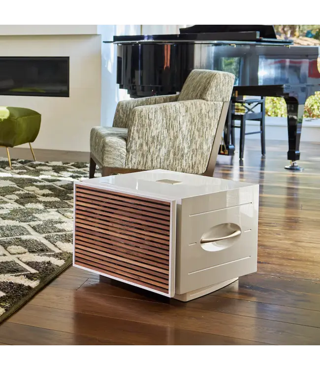 REL S/850 - Subwoofer