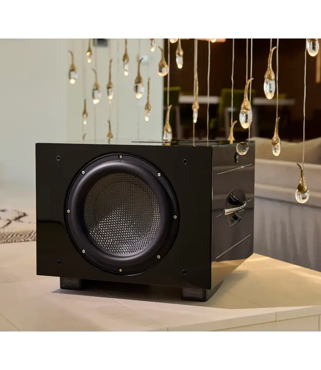 REL Carbon Special Black Label - Subwoofer