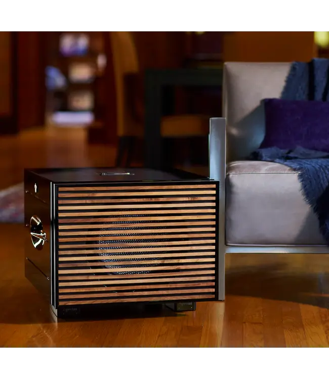 REL Carbon Special Black Label - Subwoofer