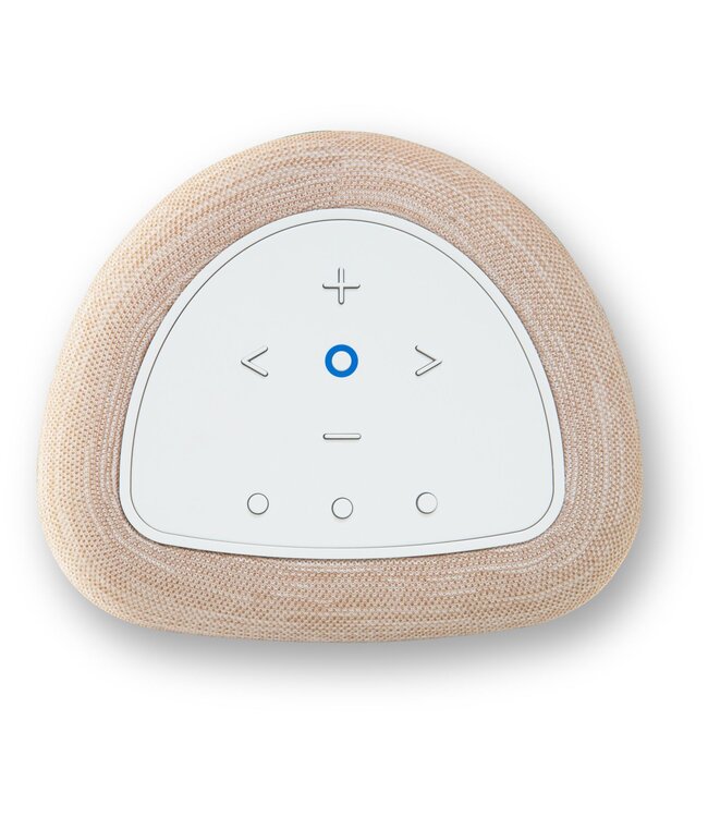 Bluesound Pulse Flex (2025) - Draadloze Luidspreker