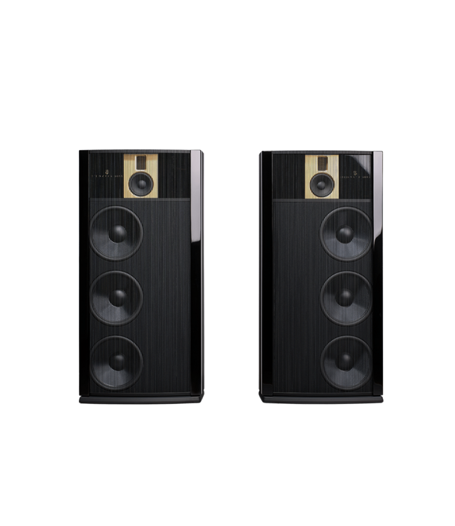 Steinway Lyngdorf Model B (Complete Set) - Vloerstaande Luidsprekers met versterking