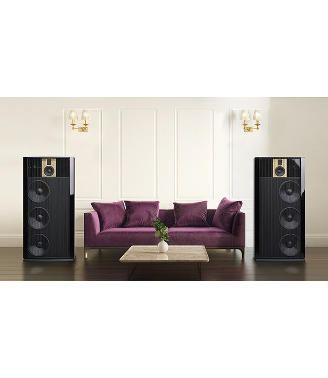 Steinway Lyngdorf Model B (Complete Set) - Vloerstaande Luidsprekers met versterking