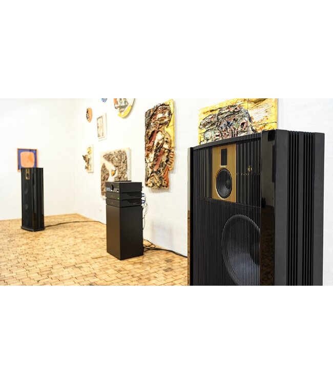 Steinway Lyngdorf Model B (Complete Set) - Vloerstaande Luidsprekers met versterking