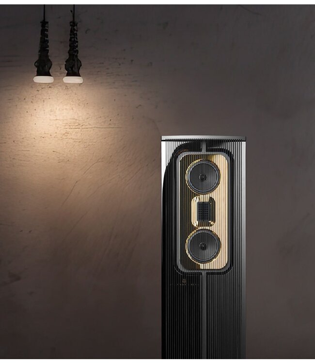 Steinway Lyngdorf Model C MKII (Complete Set) - Vloerstaande Luidsprekers met woofers en versterking