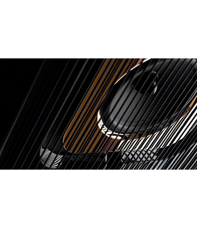 Steinway Lyngdorf Model C MKII (Complete Set) - Vloerstaande Luidsprekers met woofers en versterking