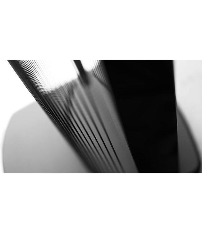 Steinway Lyngdorf Model C MKII (Complete Set) - Vloerstaande Luidsprekers met woofers en versterking