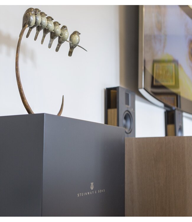 Steinway Lyngdorf Model C MKII (Complete Set) - Vloerstaande Luidsprekers met woofers en versterking