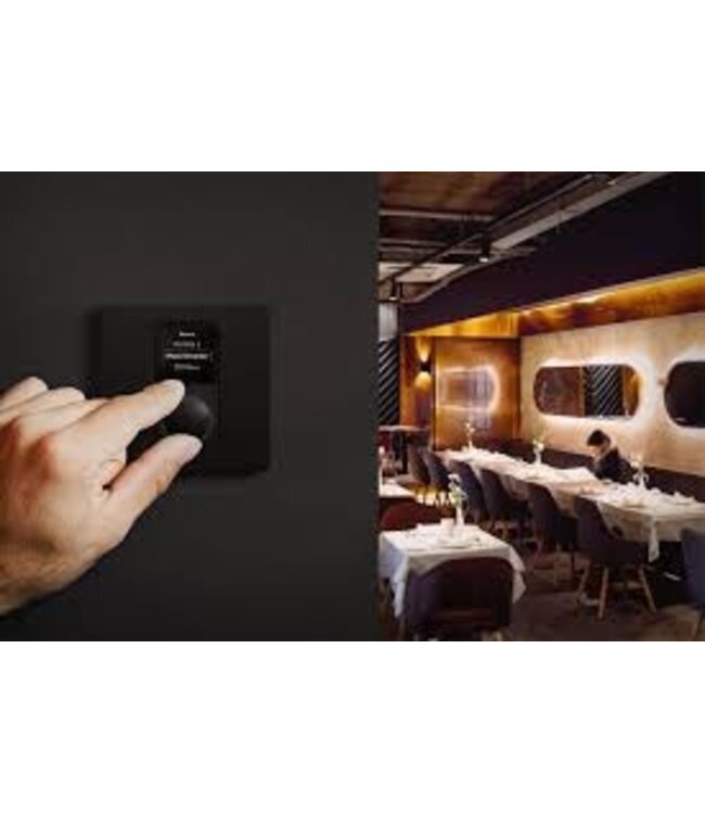 Blaze by Sonance Wall-M - Wandcontroller