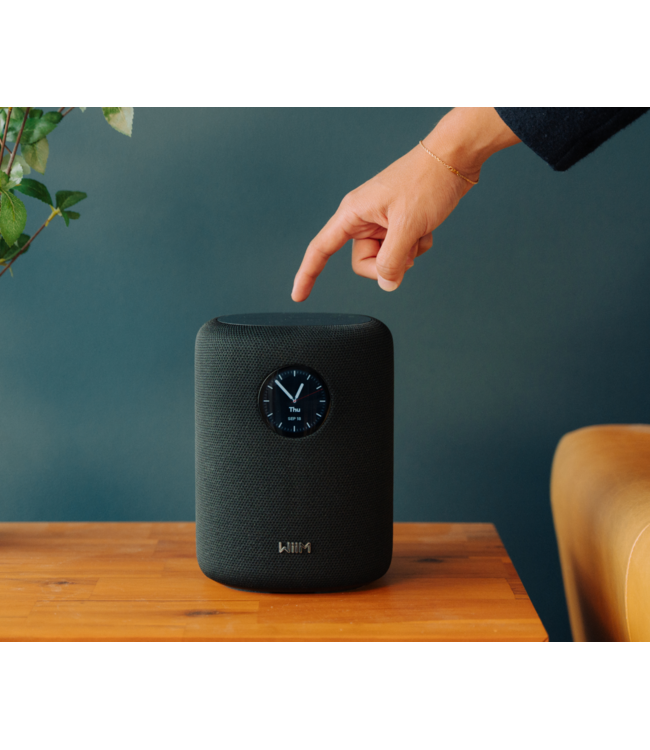 WiiM Sound - Draadloze Luidspreker