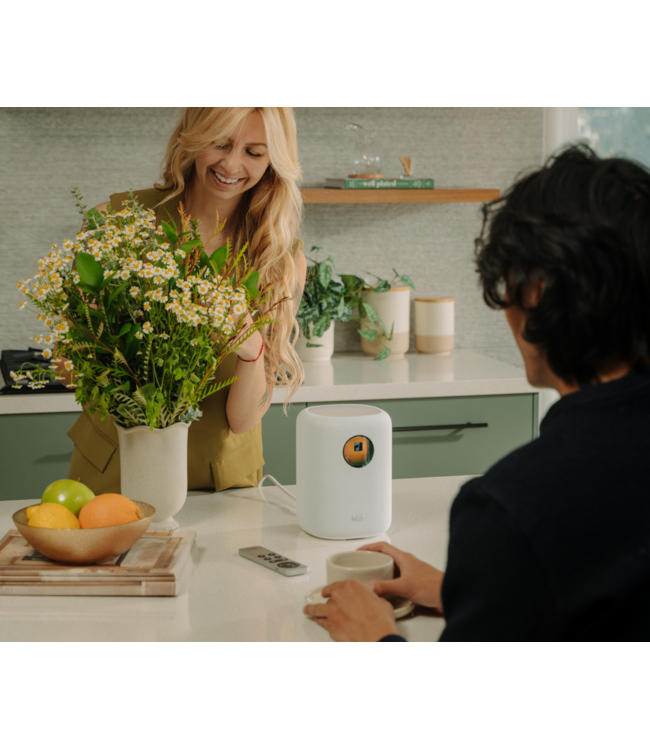 WiiM Sound - Draadloze Luidspreker