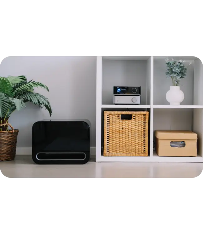 WiiM Sub Pro - Draadloze Subwoofer