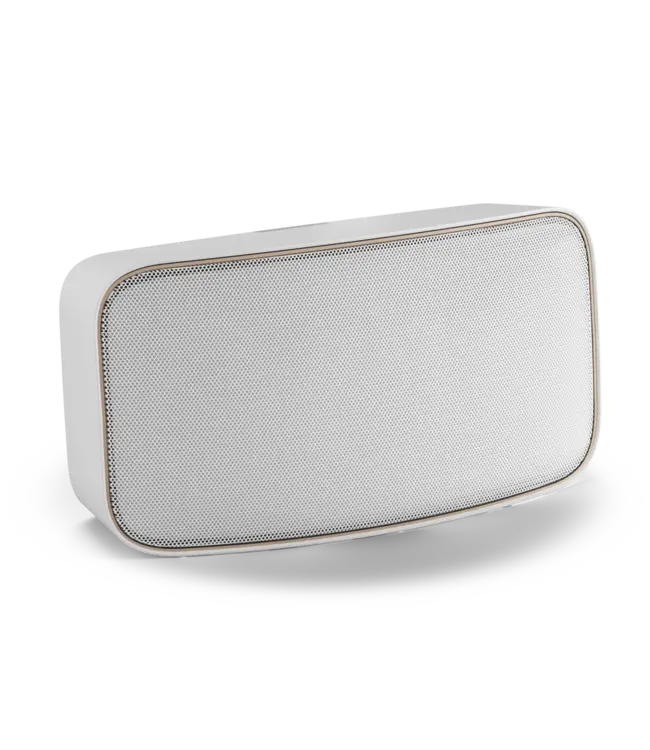 Dali Gardian OW 6 (Set van 2) - On-wall Luidsprekers