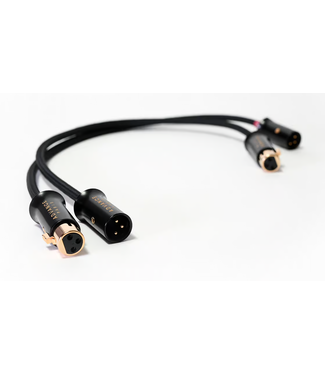 Advance Paris Advance Paris LINK Analoge XLR Interlink