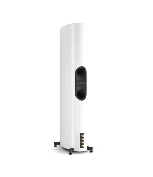 Dali EPIKORE 11: 4,5-weg vloerluidspreker met vier 8-inch woofers en EVO-K tweeter