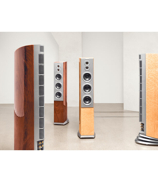 Audiovector R 10 Arrete: dubbele AMT-tweeter, 8-driver lijn-array, 21-53.000 Hz