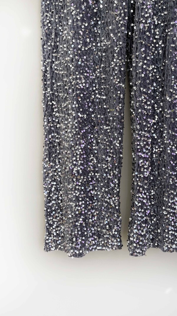 Silver Pants Sequins