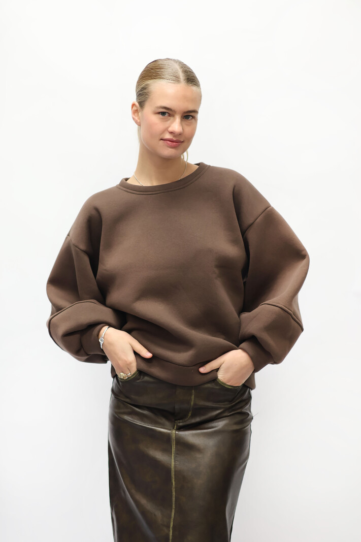 North Sweater Brown TU