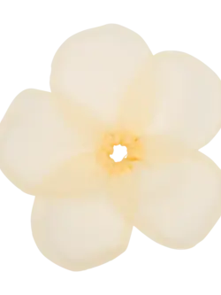 SUI AVA Buttercup Elastiek Groot Buttercup Geel
