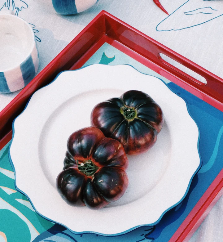 ANNA&NINA Marine Blue Scalloped Dinner Plate