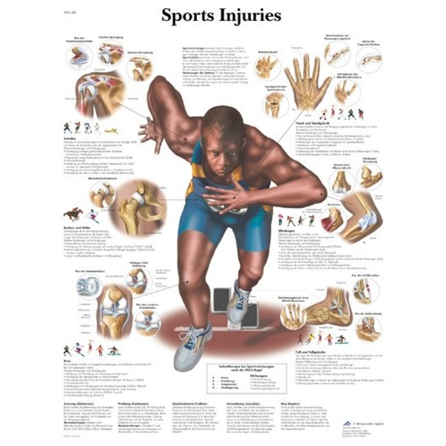 3B Scientific Anatomische Poster Sport Blessures/Sports injuries - Engels/Latijn