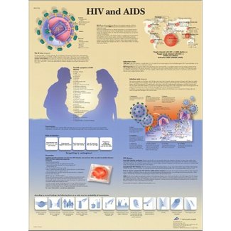 3B Scientific Anatomische Poster HIV en Aids