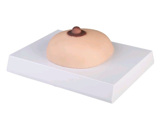 Erler Zimmer Borstkanker palpatie model, oefenmodel