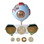 Anatomisch model van het Oog 6 x vergroot
