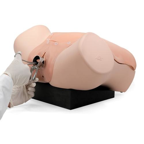 3B Scientific Gyneacologische vaardigheidstrainer - Gynecologic Skills Trainer, foto 3 van 6